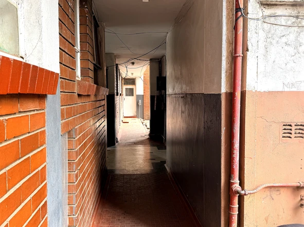 Flat & Apartment