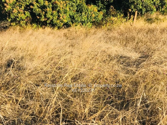 Residential Stand For Sale-Fern Valley