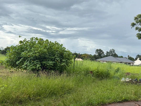 Stands & Residential Land